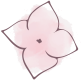 Blume aus dem Logo von Anne Heitkämper